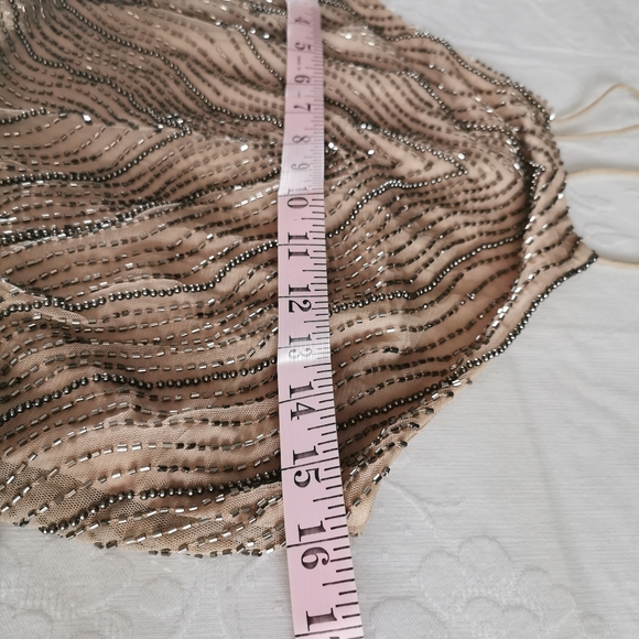 Adrianna Papell Nude Beaded Gown Size 4 - Picture 5 of 12